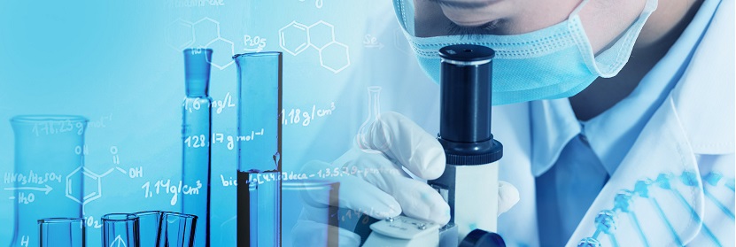 代謝組學(xué)服務(wù)