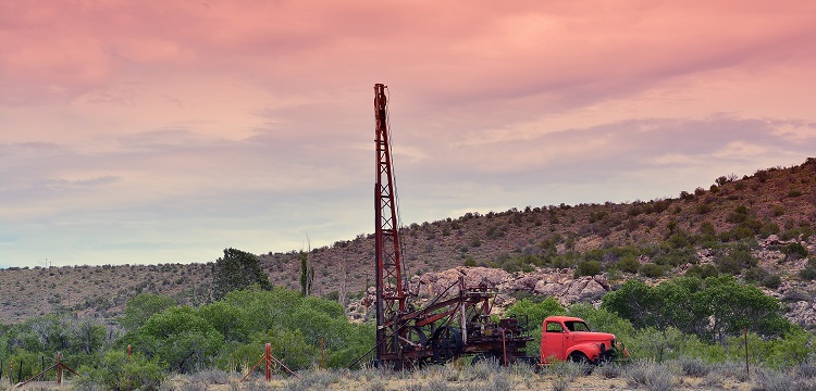 常春藤皂苷檢測