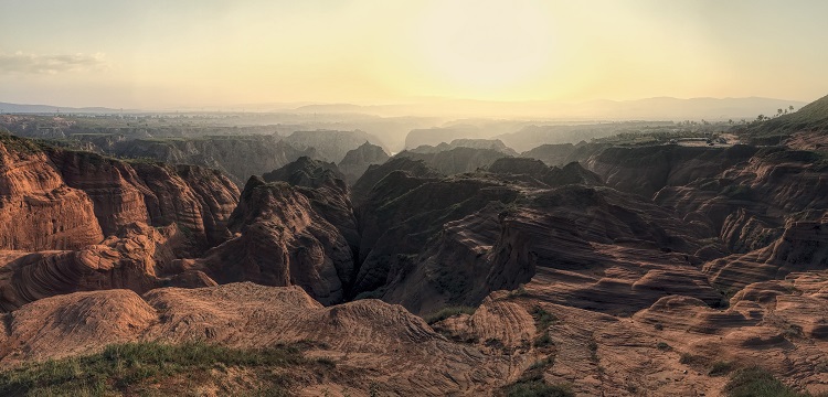 根系分泌物檢測(cè)