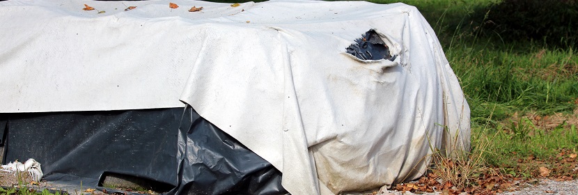 OVA誘導(dǎo)小鼠哮喘模型