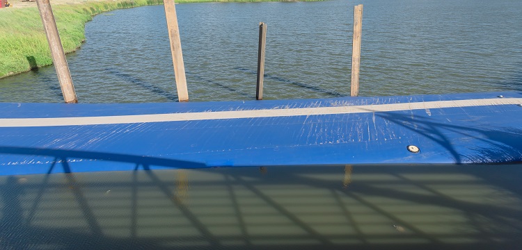 大鼠被動(dòng)皮膚過敏模型