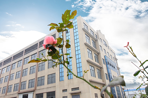 琥珀酸二甲酯檢測