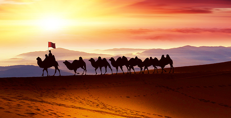 酞青藍(lán)檢測報(bào)告