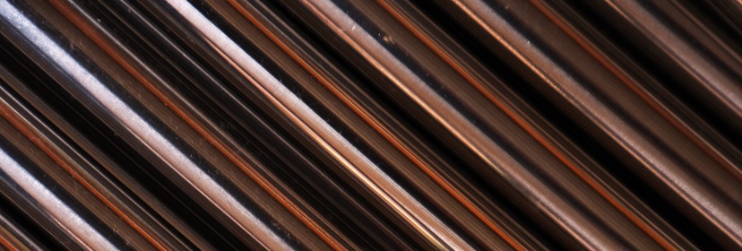 原兒茶酸檢測(cè)