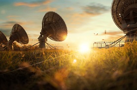 柑橘紅2號(hào)檢測(cè)