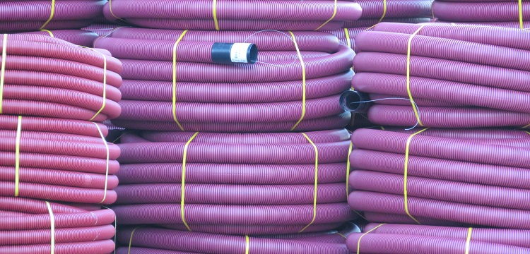 脯氨酸脫氫酶檢測