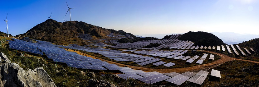 藍(lán)莓檢測(cè)