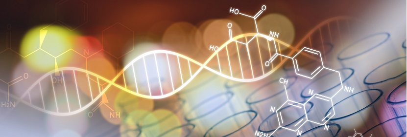 光學(xué)級(jí)聚酯薄膜檢測(cè)