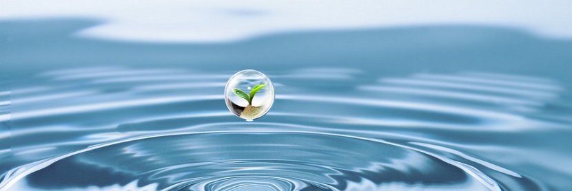 水資源論證檢測