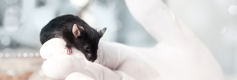 急性經(jīng)口毒性試驗