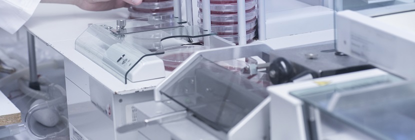 洗滌消殺產(chǎn)品L5178Y細(xì)胞基因突變試驗(yàn)