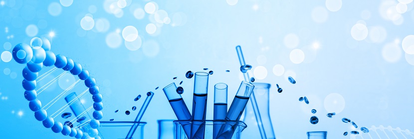 燃油蒸發排放控制炭罐用顆?；钚蕴繖z測