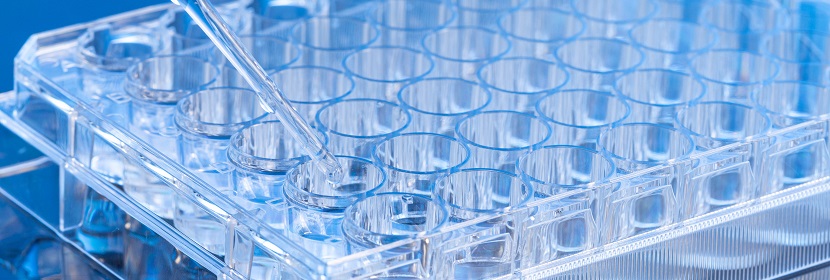 醋酸氯己定檢測