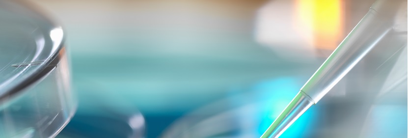 膠粘劑正己烷檢測(cè)