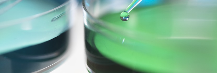 六水合硫酸鐵(Ⅱ)銨(硫酸亞鐵銨)檢測(cè)